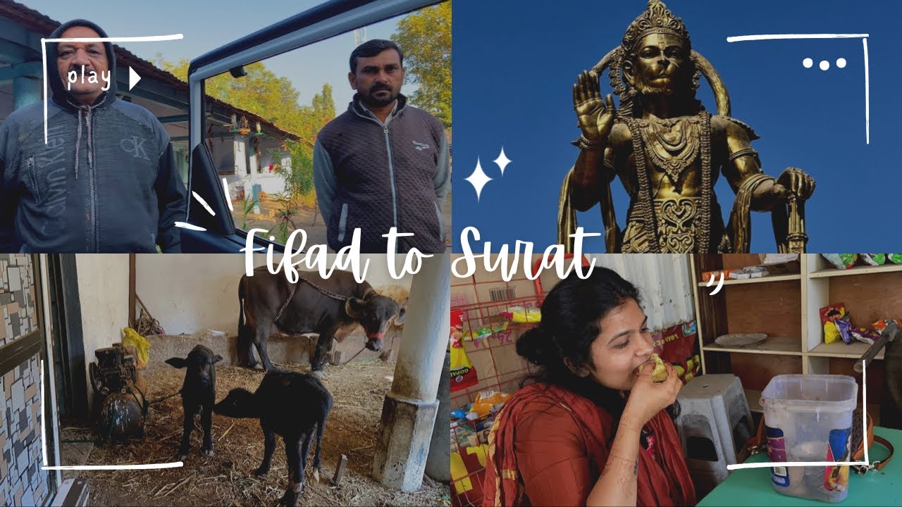 Back to Surat via Salangpur Dham
