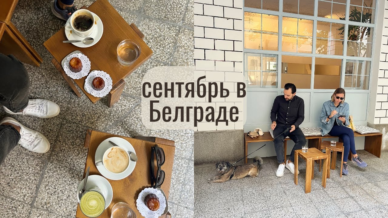 один день в Белграде