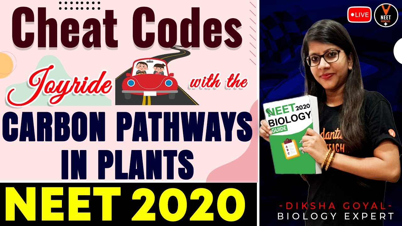 Carbon pathways in Plants | NEET Biology Cheat Code #2 | NEET 2020 Preparation | Diksha Ma'am