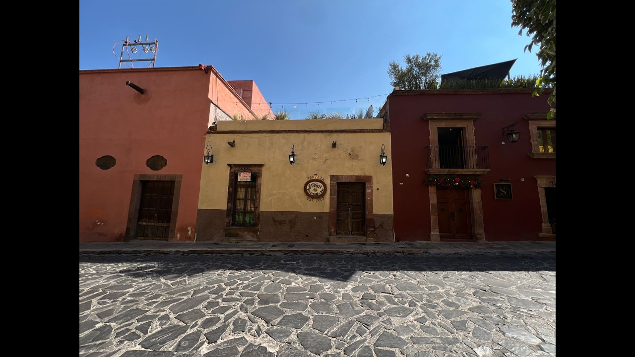 Local hernandez macias 66