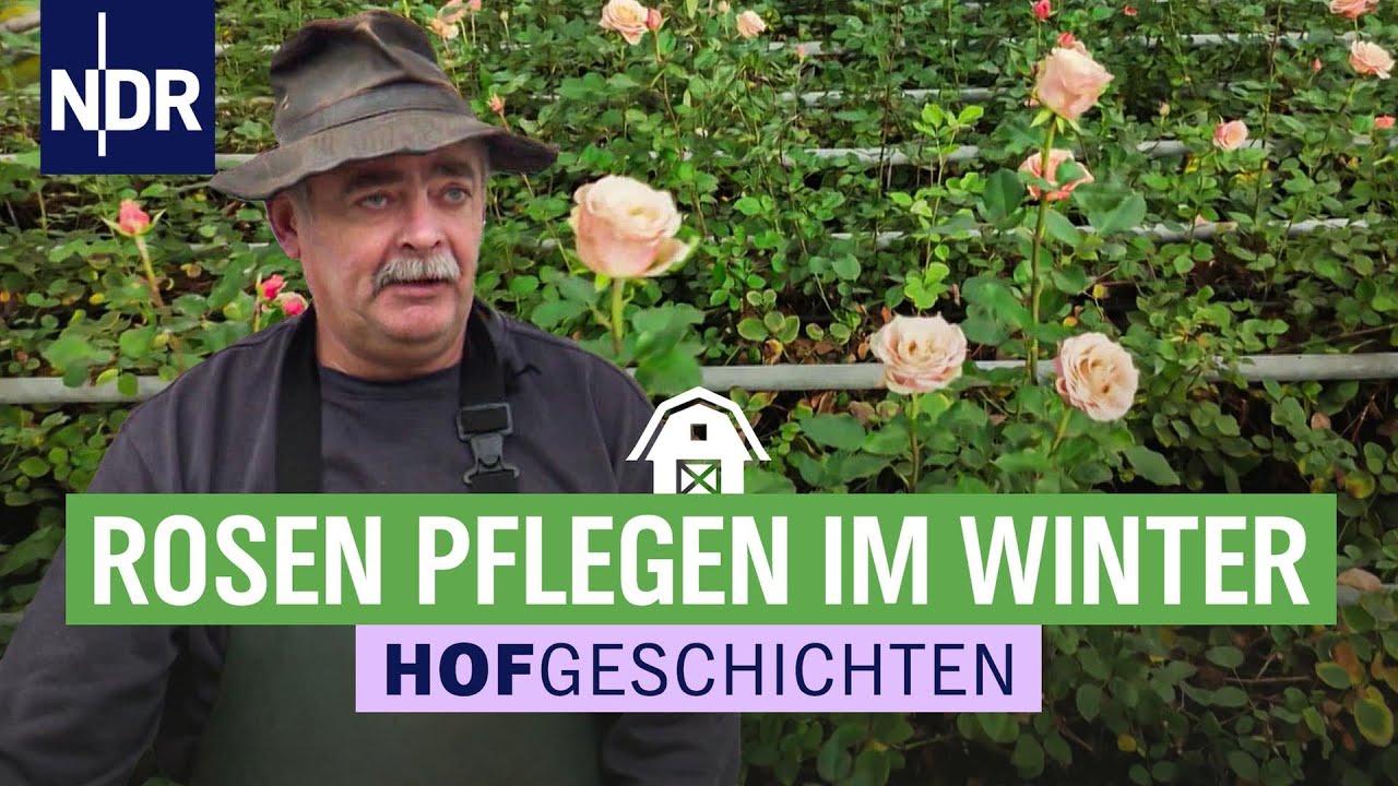 Heckenschere oder Fingerspitzen für die Rosen? | Hofgeschichten: Leben auf dem Land (317) | NDR