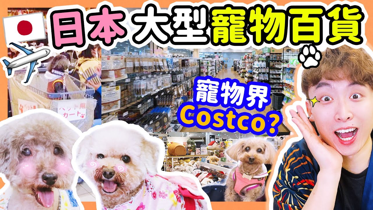 【日本大型pet friendly百貨】寵物界「Costco」🐶🤑忍不住要瘋狂買！特色零食逐一開箱試食😋Muffin Brownie有口福了😍(中文CC字幕)