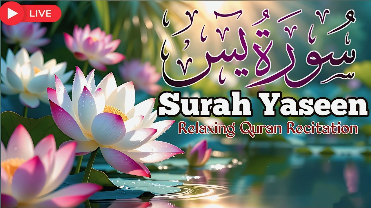 🔴 LIVE: Surah Yaseen | हर मुश्किल के हल के लिए सूरह यासीन की तिलावत
