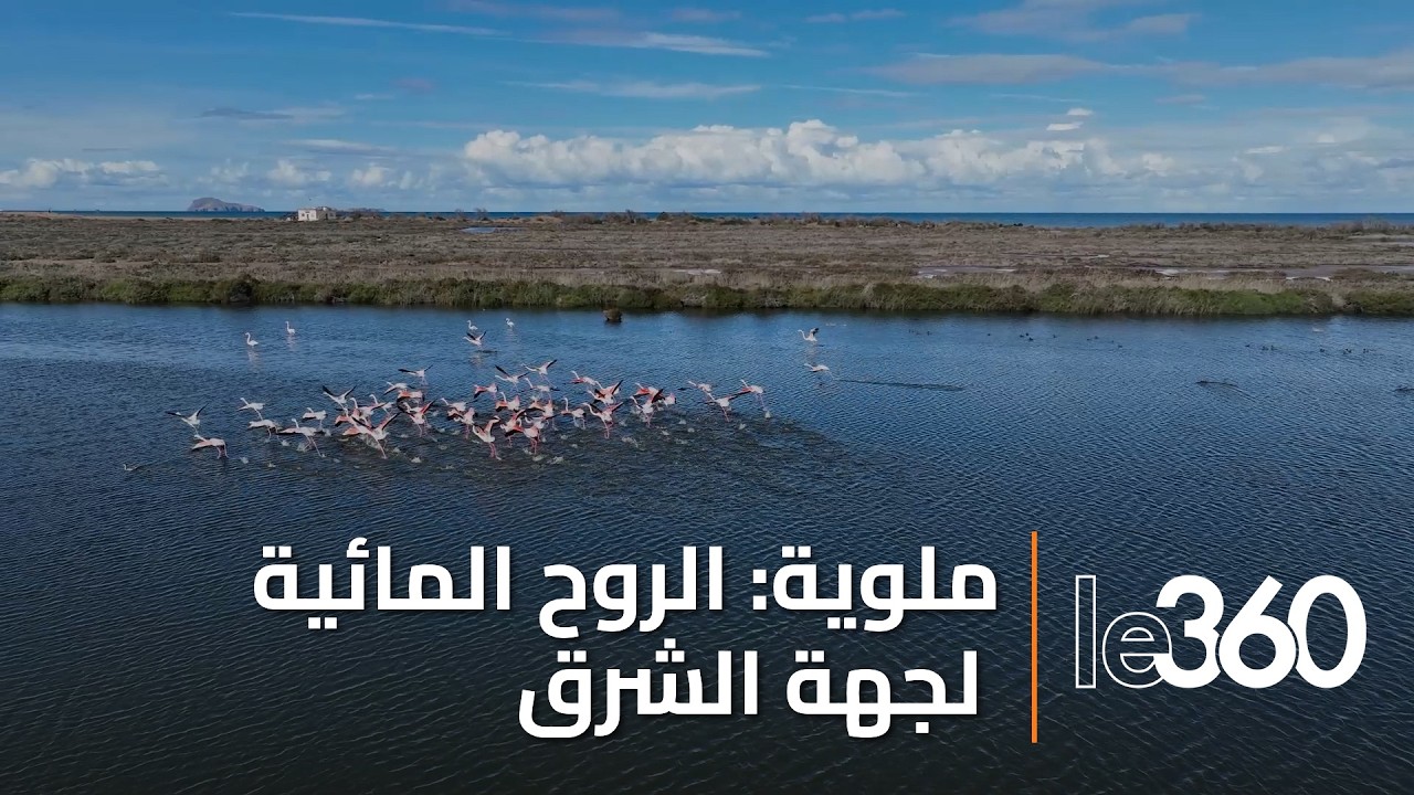 وديان المغرب: وادي ملوية.. بين سحر الطبيعة وواقع التحديات البيئية