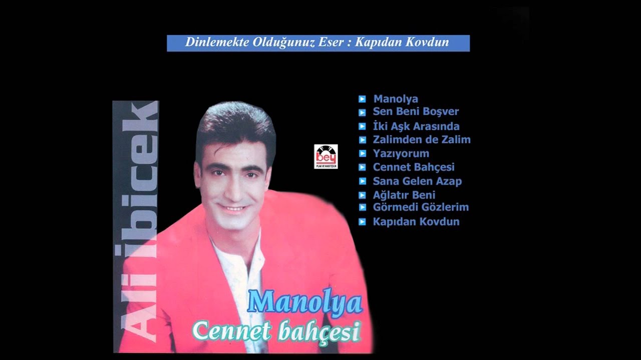 Kapıdan Kovdun Bacadan Girdim - Ali İbicek
