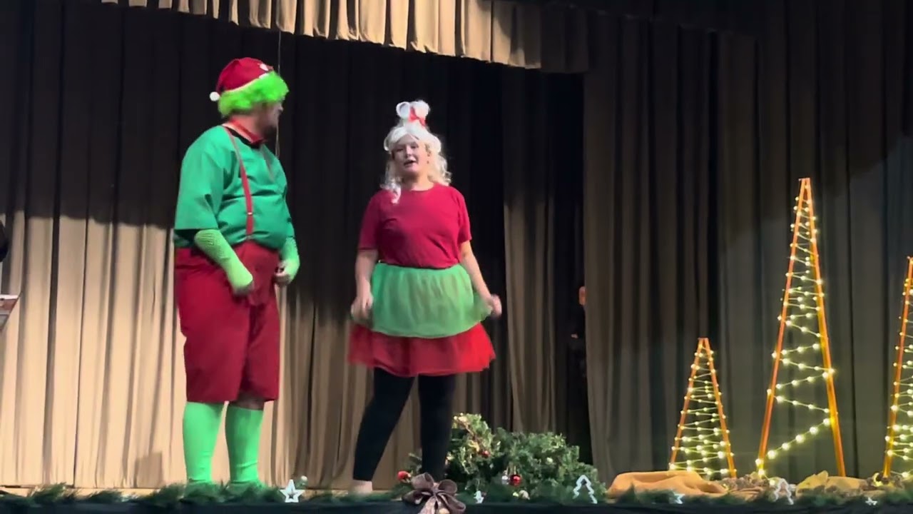 The Grinch & CindyLou Christmas Tree - Henk & Elein 