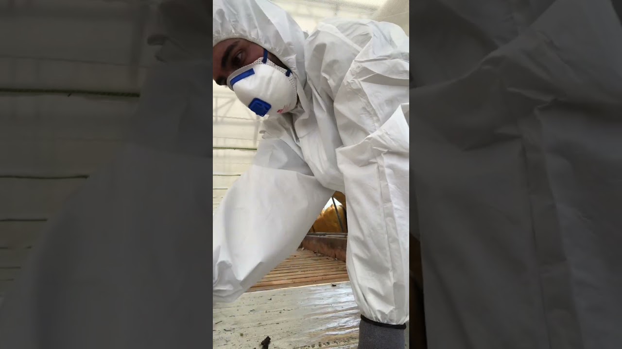 Ned tagning af eternit tag plader og asbest rengøring af tag konstruktion