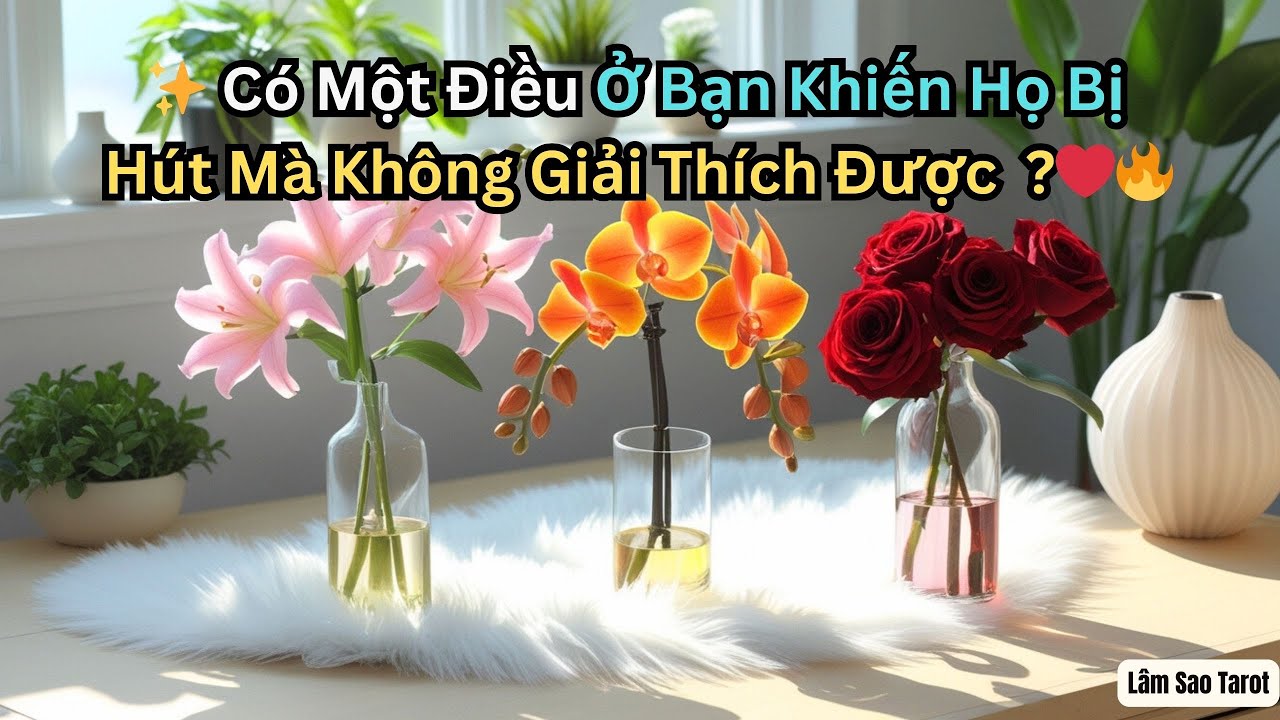 Có Một Điều Ở Bạn Khiến Họ Bị Hút Mà Không Giải Thích Được – Và Họ Đang Nghĩ Rất Nhiều Về Bạn  😳✨