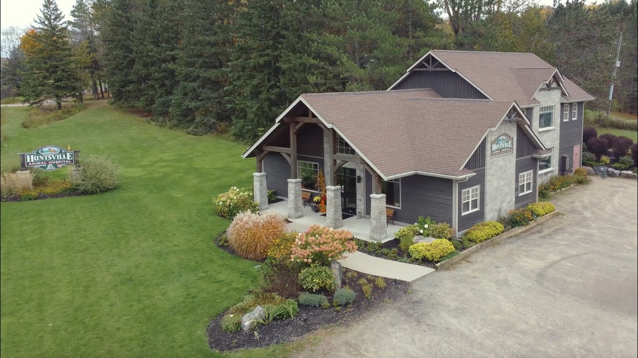 Huntsville Animal Hospital—Huntsville, Ontario