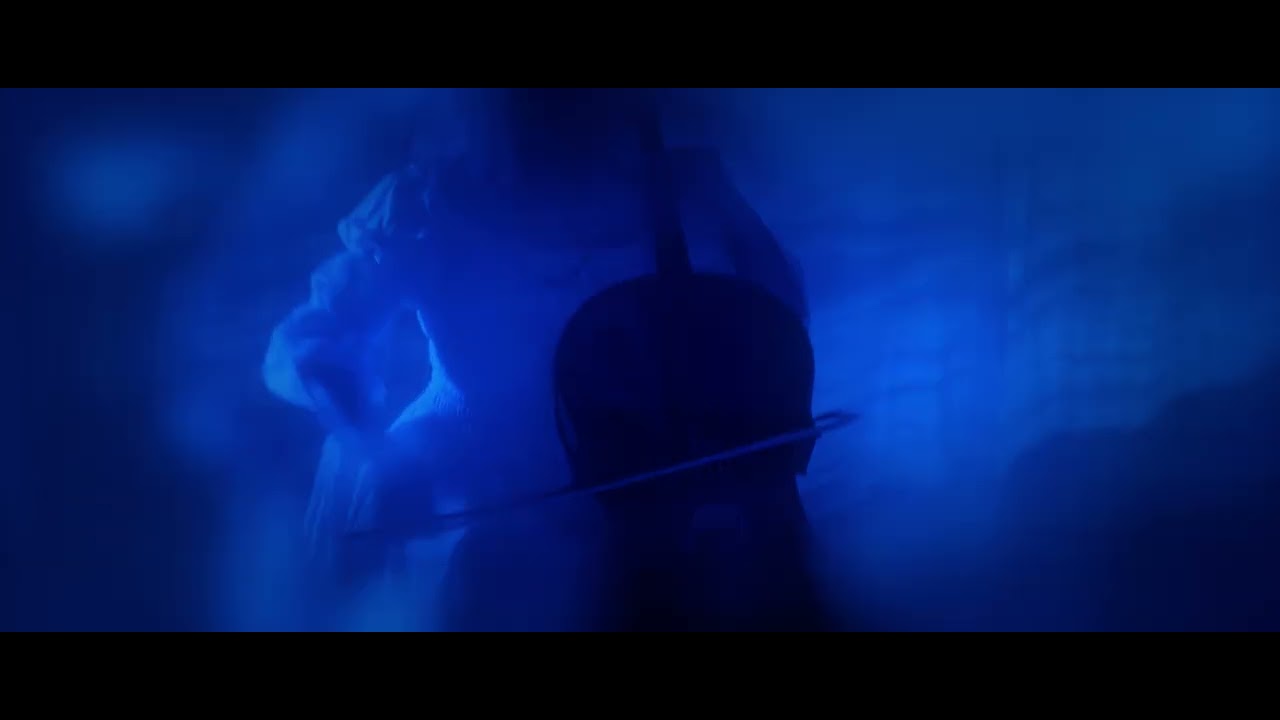 Whales