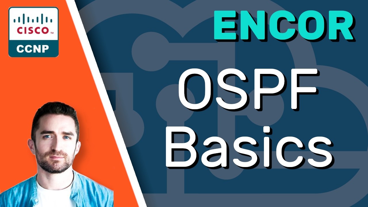 Основы OSPF // Полный курс CCNP ENCOR 350-401