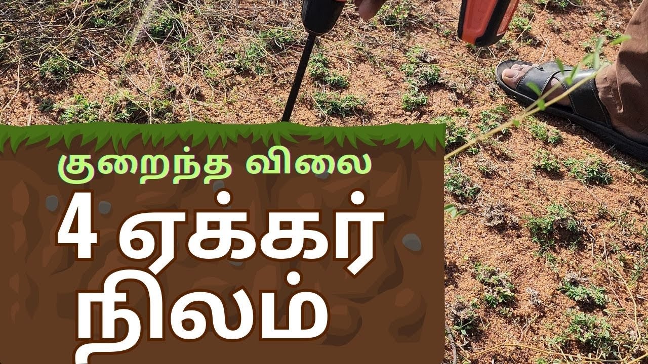 ஒரு ஏக்கர் ரூபாய் 4.90 லட்சம் . விவசாய நிலம் விற்பனைக்கு #agriculture