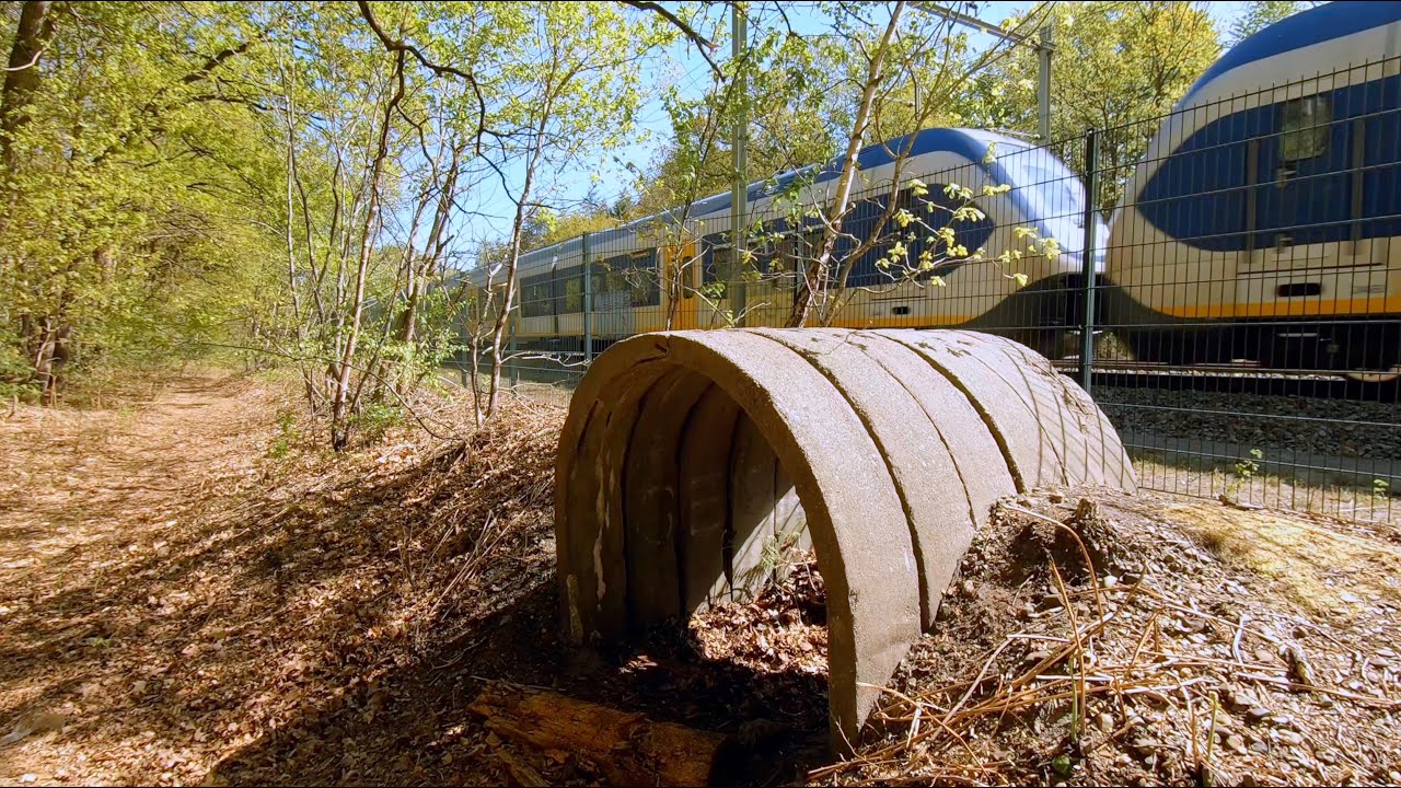 Spoorbunkers uit de Tweede Wereldoorlog - World War Railway Relics CABVIEW HOLLAND 2020