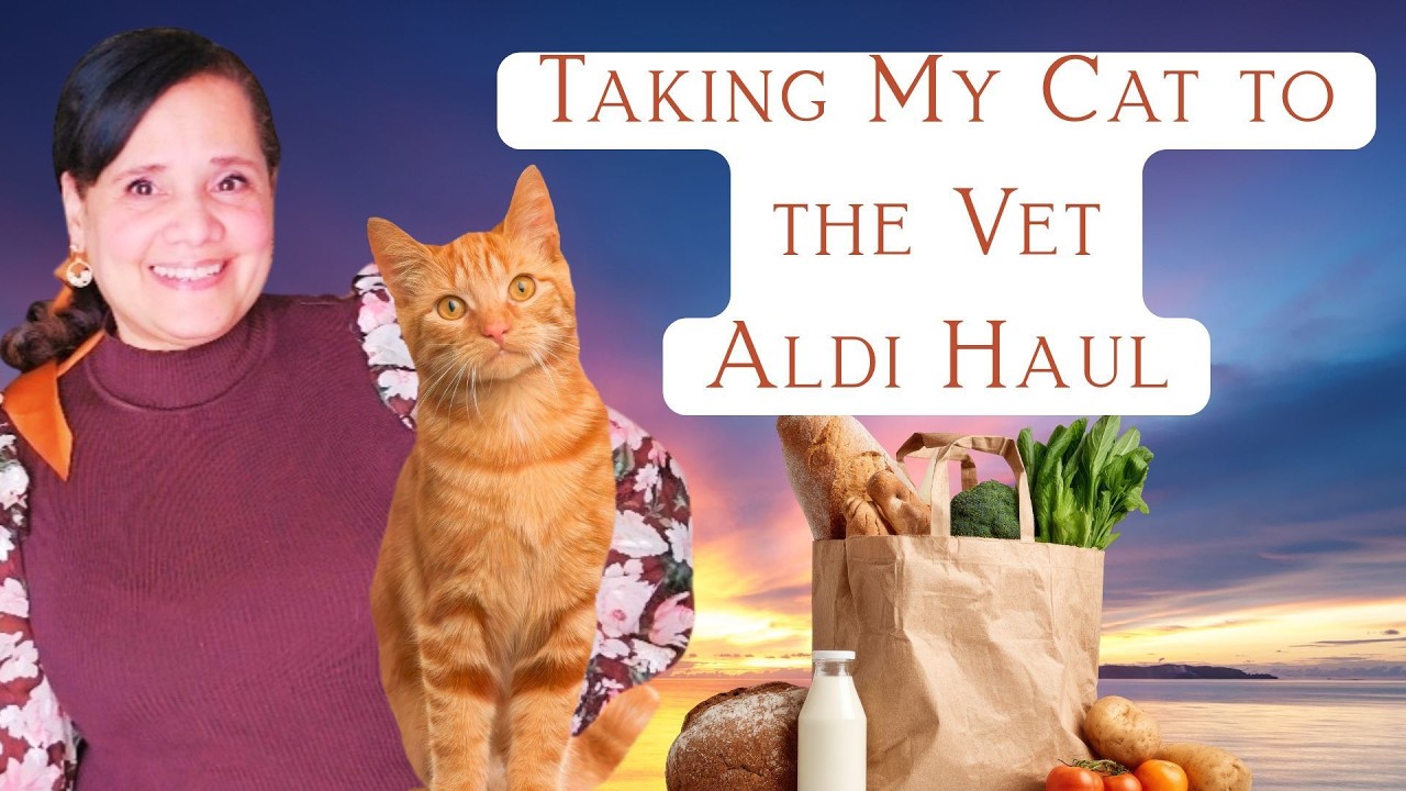 Aldi Haul/Taking My Pet to the Vet! #homemaking #homemaker