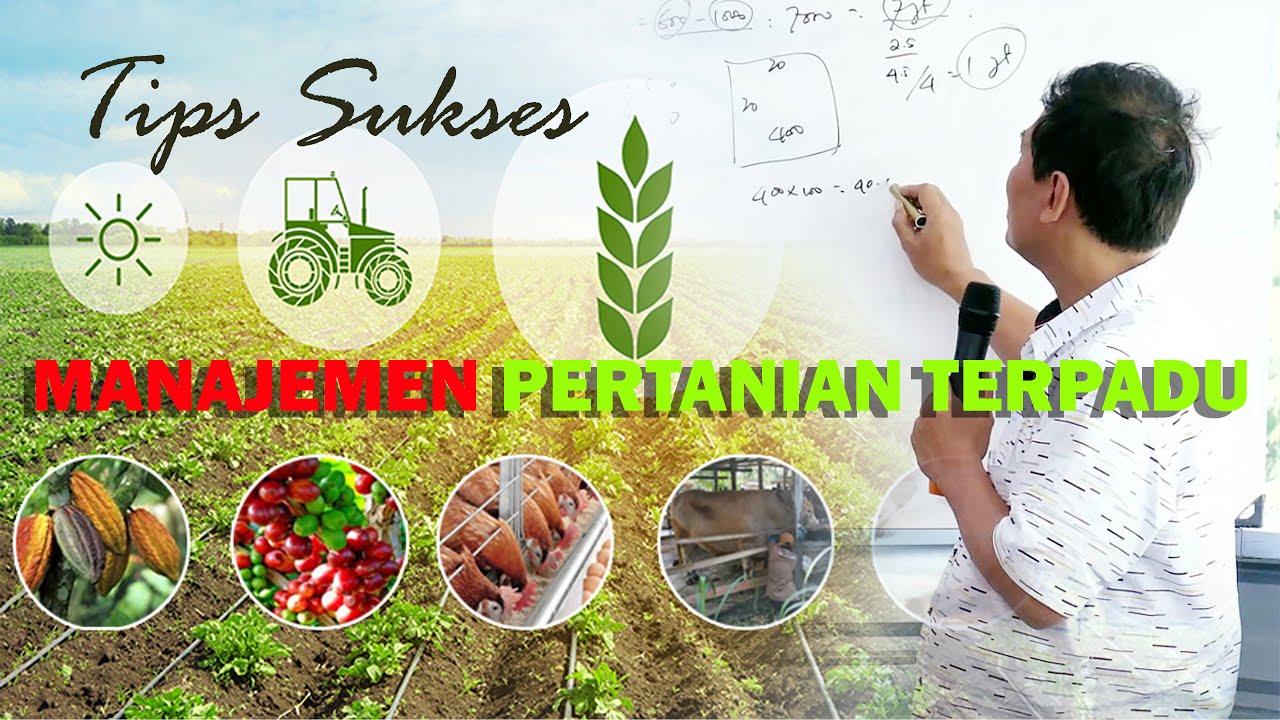 MANAJEMEN PERTANIAN TERPADU #pelatihanbsm A1 #bayudiningrat #bayusehatmandiri