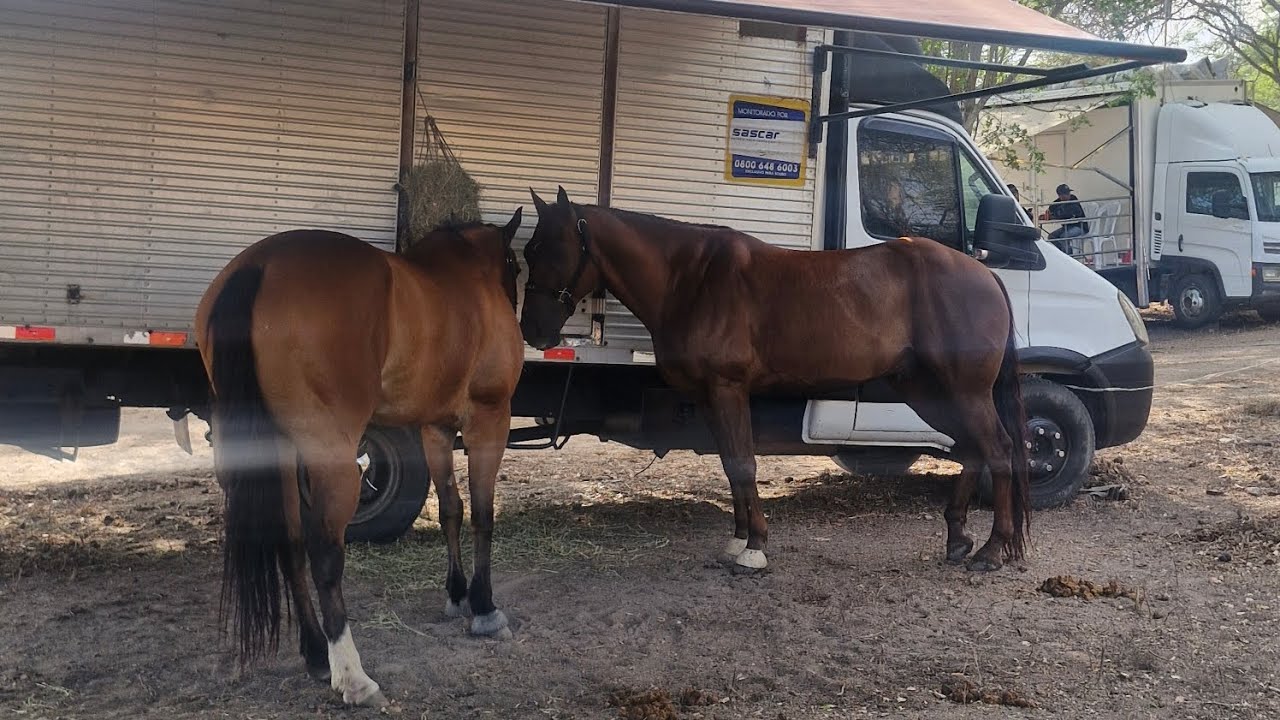 Viajando para Bezerros , parque Santa fé-circuito acqm