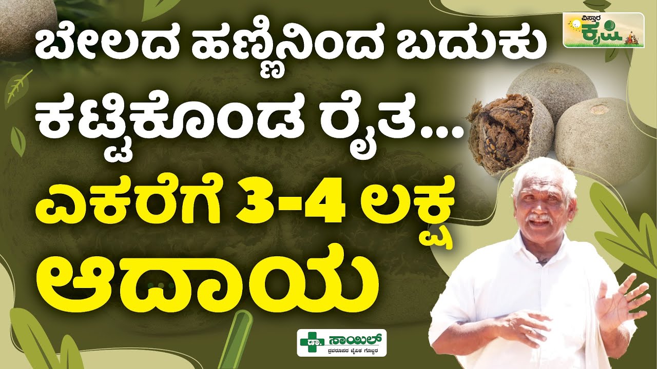 ಬೇಲದ ಹಣ್ಣಿನಿಂದ ಬದುಕು ಕಟ್ಟಿಕೊಂಡ ರೈತ.. ಎಕರೆಗೆ 3-4 ಲಕ್ಷ ಆದಾಯ!| Wood Apple Farming In Vijayanagar