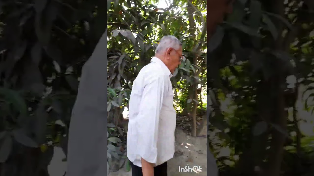 বাংলাদেশ নোয়াখালী জেলার সেবারহাট রাজারামপুর ভূঁইয়াবাড়ি সেনবাগ থানার অন্তর্গত আমাদের জমিদার বাড়ি,