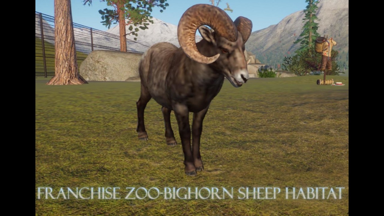 Franchise Zoo's Bighorn Sheep Habitat