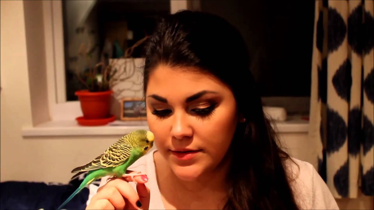 Perusul Bobo Copiaza