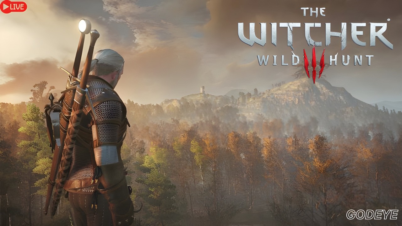 What Happens Next? | The Witcher 3 : Wild Hunt | Live