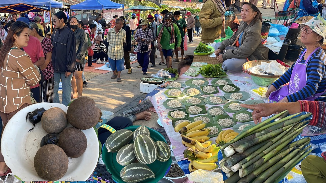 ของป่าลาว ตลาดนัดไทยลาว บ้านหนาด จ.นครพนม ไข่มดแดง เขียดน้อย แมงแคง ขายถูกได้หลายๆ