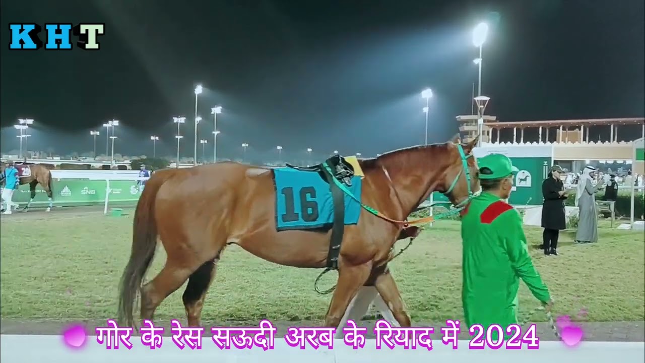 number 28 🇸🇦🐎 सऊदी अरब के रियाद में गोरा की दौड़ horse wrestling Saudi Arabia Riyadh Jana Dariya KHT