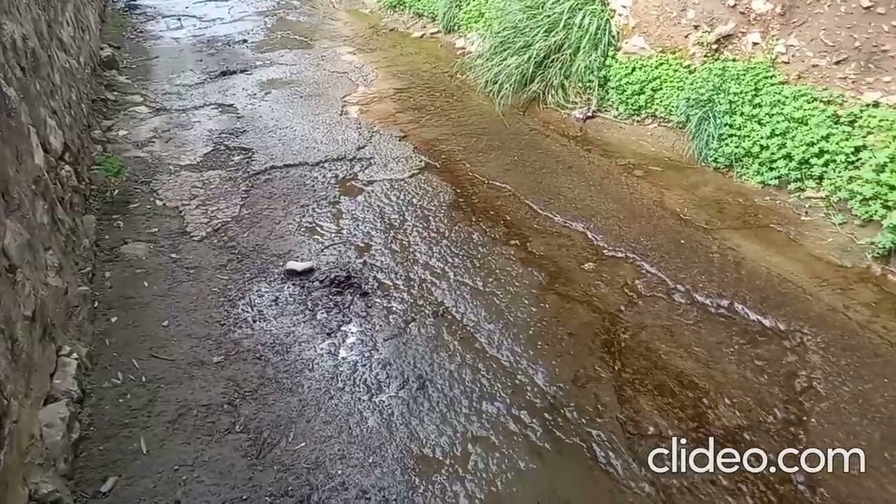 17-01-2026. NUOVO VIDEO.   Monti Lattari. Da Marina del Cantone - Recommone - Scalinata Crapolla.