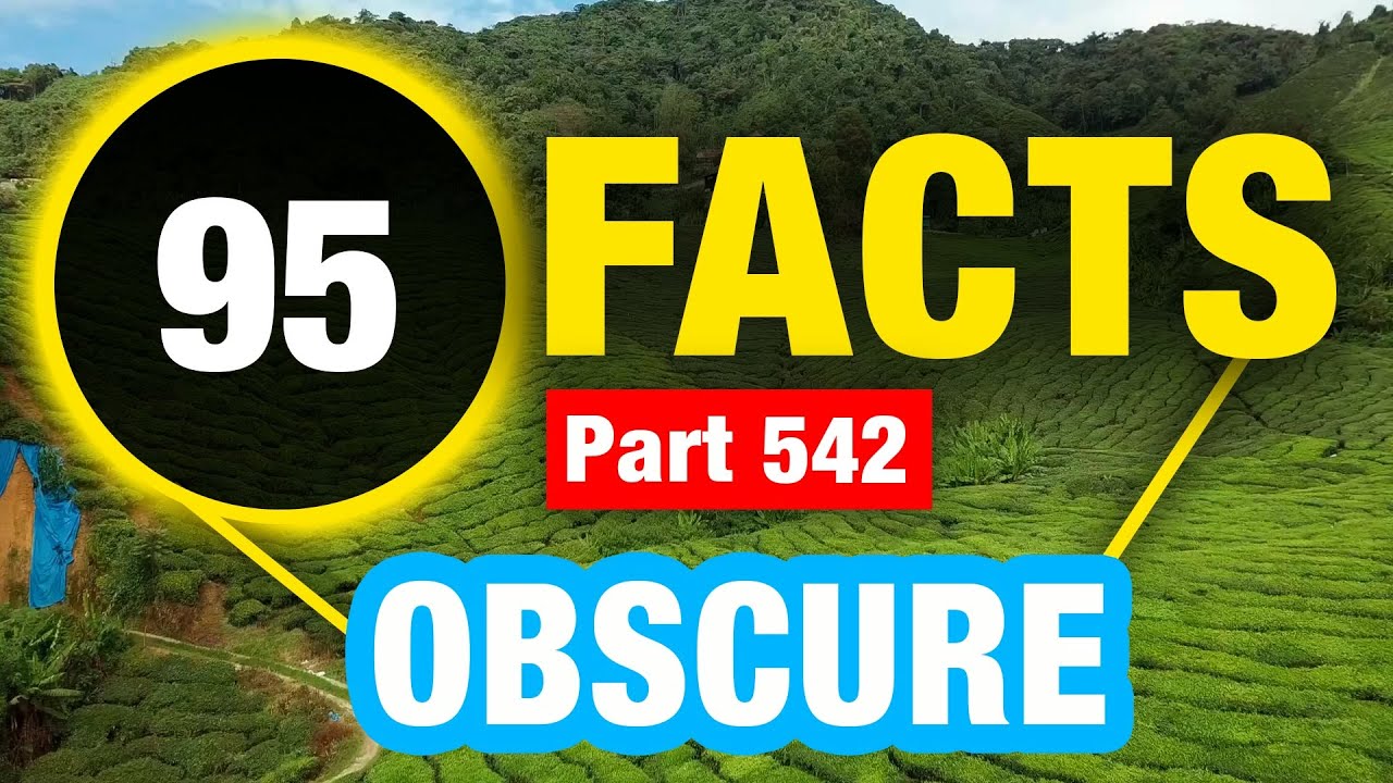 95 Amazing Random Facts | Random Facts You Never Knew