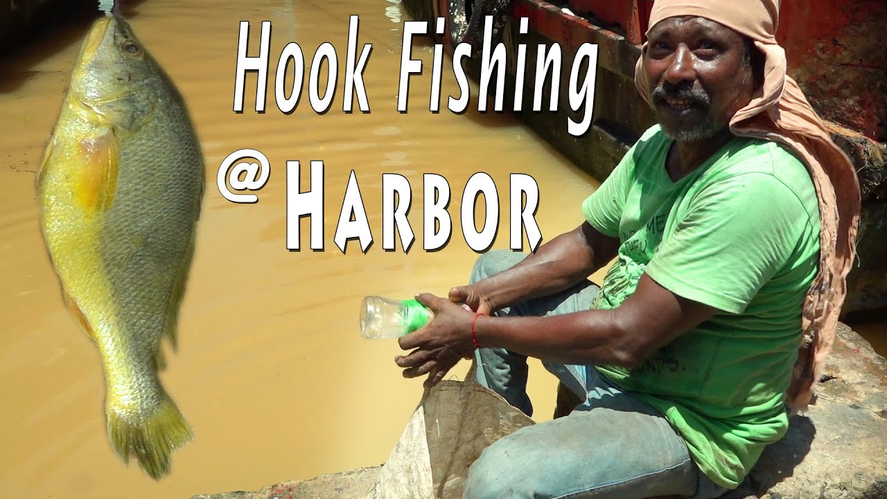 Hook fishing at fishing harbor : Odia fishing - ODISHA