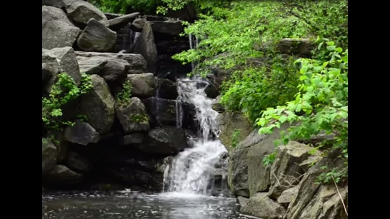 Finding Silence in New York City #4 (The Ravine at Central Park)