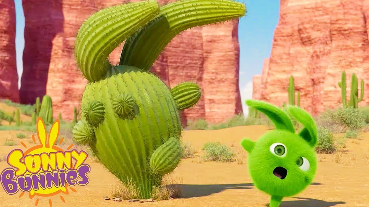 Cactus Hopper | SUNNY BUNNIES | Cartoons for Kids | WildBrain Zoo