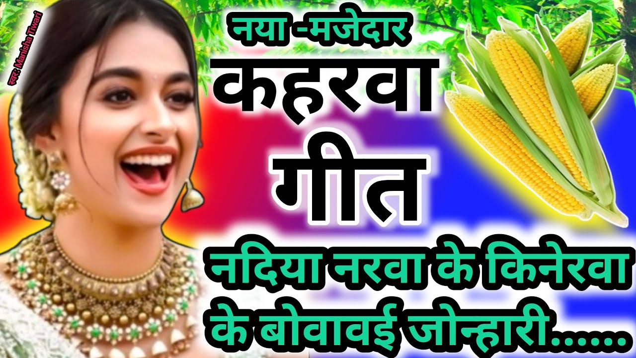 #Video | देहाती कहरवा नाच गीत | ( naach geet) नदिया नरवा के किनरवा जोन्हरी #धोबीगीत #नाचगीत  