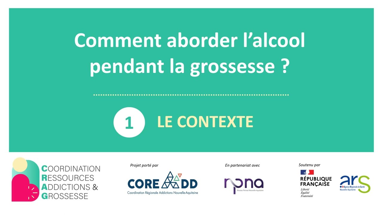 RPIB ALCOOL & GROSSESSE | Partie 1 : Contexte