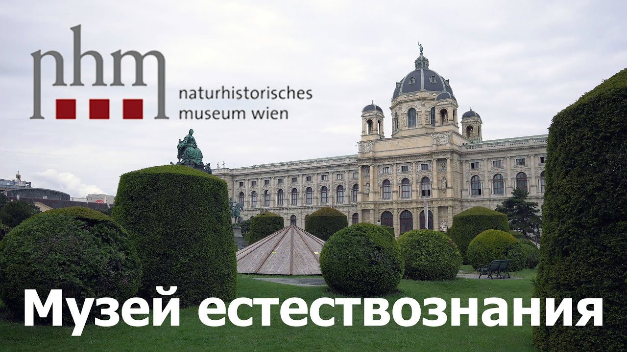 🏛️ Музей естествознания 🦖 Вена Австрия, 4K UHD