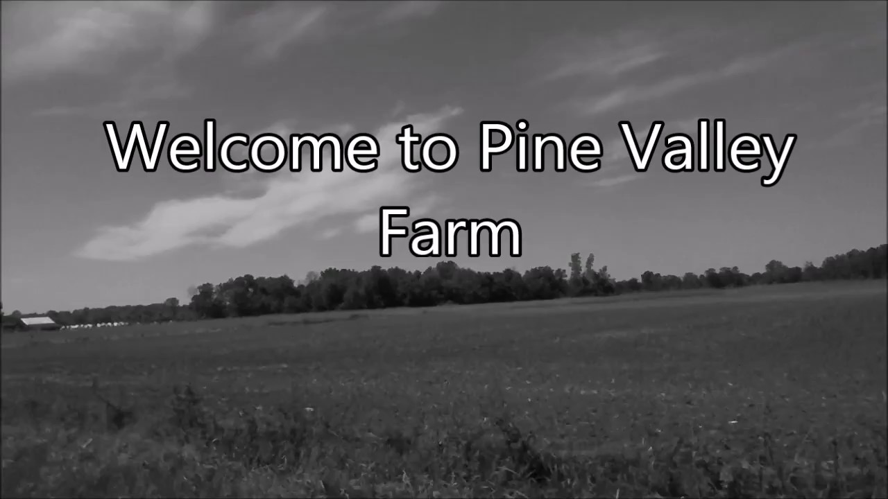PineValley Farm Intro