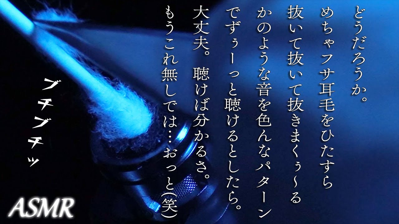 永遠に聴いていたい…剛毛耳毛をひたすらむしりまくるかのような痛気持ちぃい～ブチブチッASMR。 / Ear cleaning / DR40 / swab / 綿棒 / 耳かき / No Talking