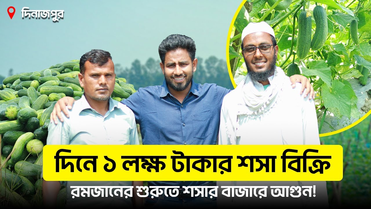 রমজানের শুরুতে ৩৫ টাকা কেজি শসা ! ৭ বিঘা থেকে দিনে বিক্রি করছেন ১ লক্ষ টাকার বেশী  !