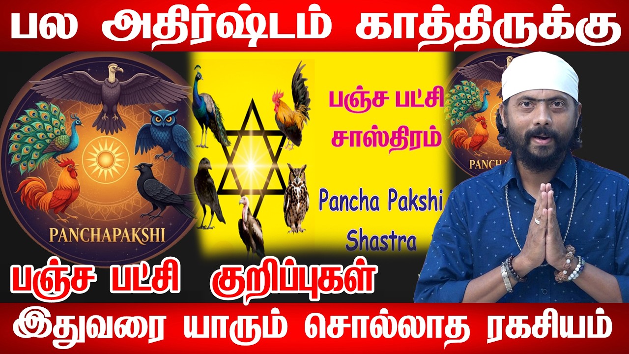 பஞ்சபட்சி சாஸ்திரத்தின் மூலம் செல்வாக்கை அதிகரிக்க 5 ரகசியங்கள்! | Panchapatchi Sasthiram|