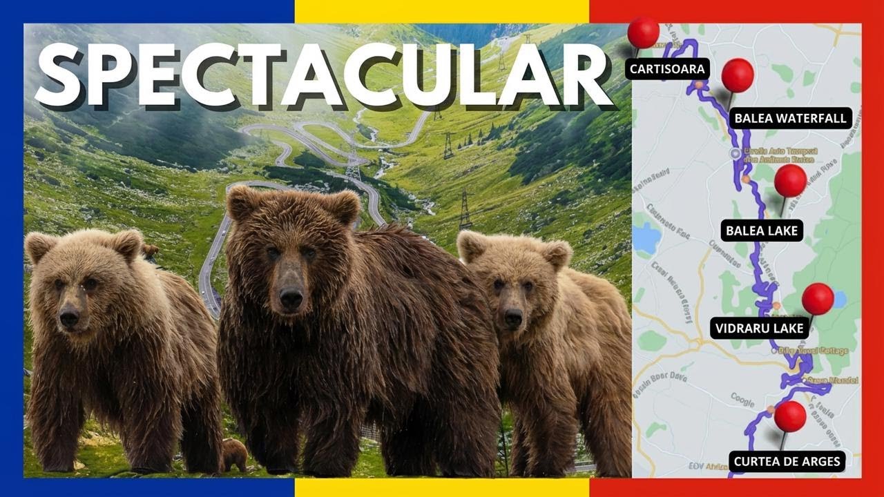 Europe’s Wildest Road Trip: The Transfagarasan With Bears & Everything You Need to Know