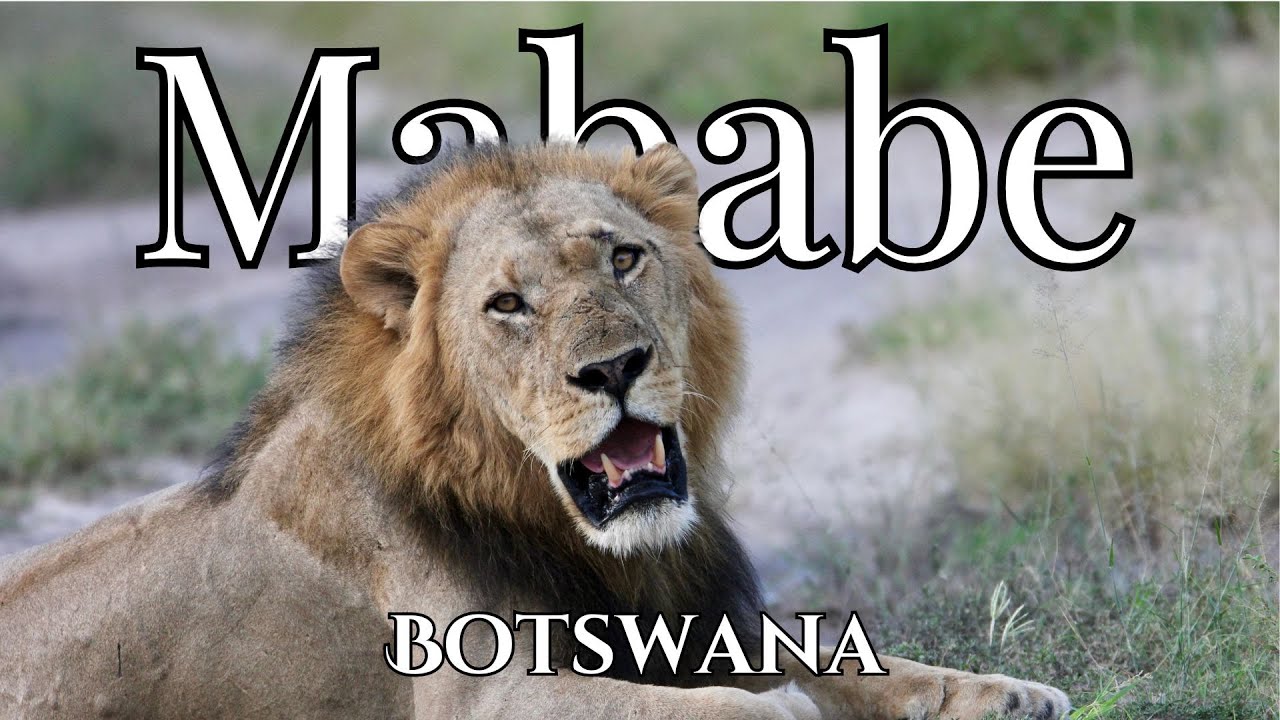 Exploring Mababe Botswana