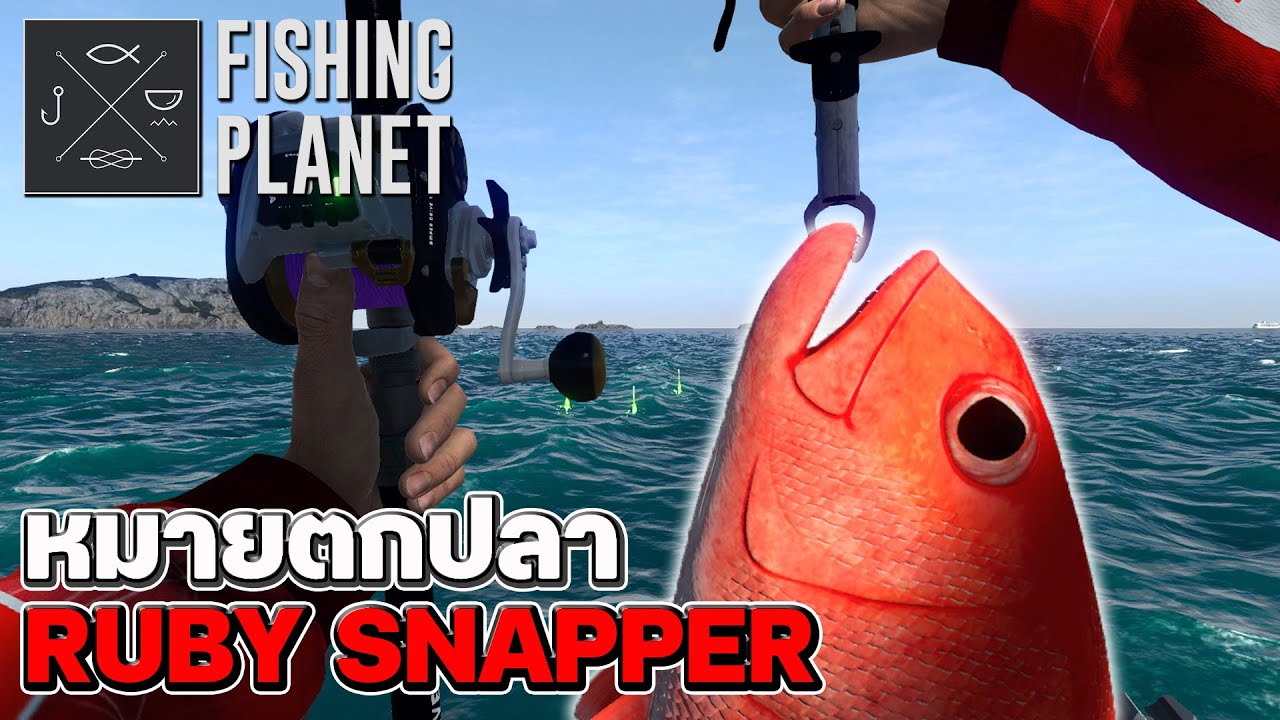 Fishing Planet l หมายตกปลา Ruby Snapper ญี่ปุ่น