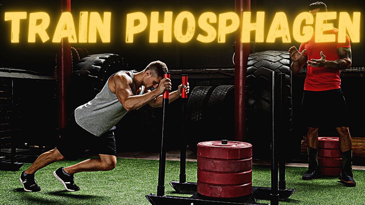 Energy Systems: Creatine Phosphate Workouts