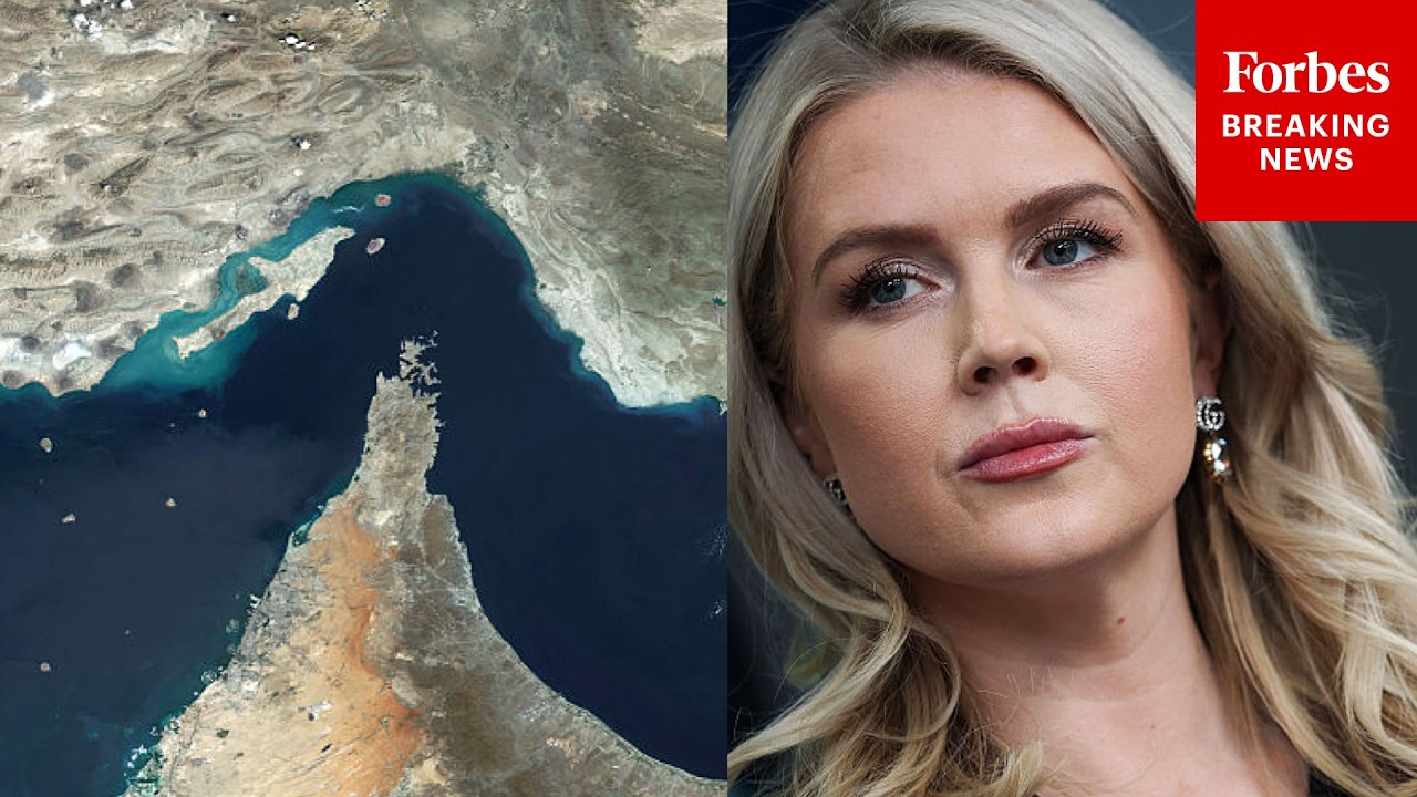 Каролина Ливит: Вот почему другие страны должны обеспечить безопасность Ормузского пролива.