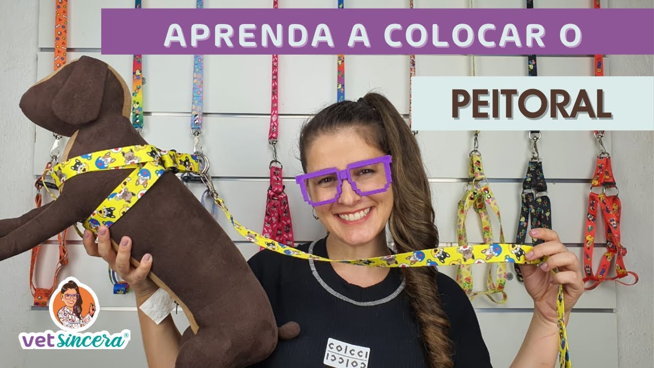 Tutorial. Como colocar o peitoral no meu cachorro