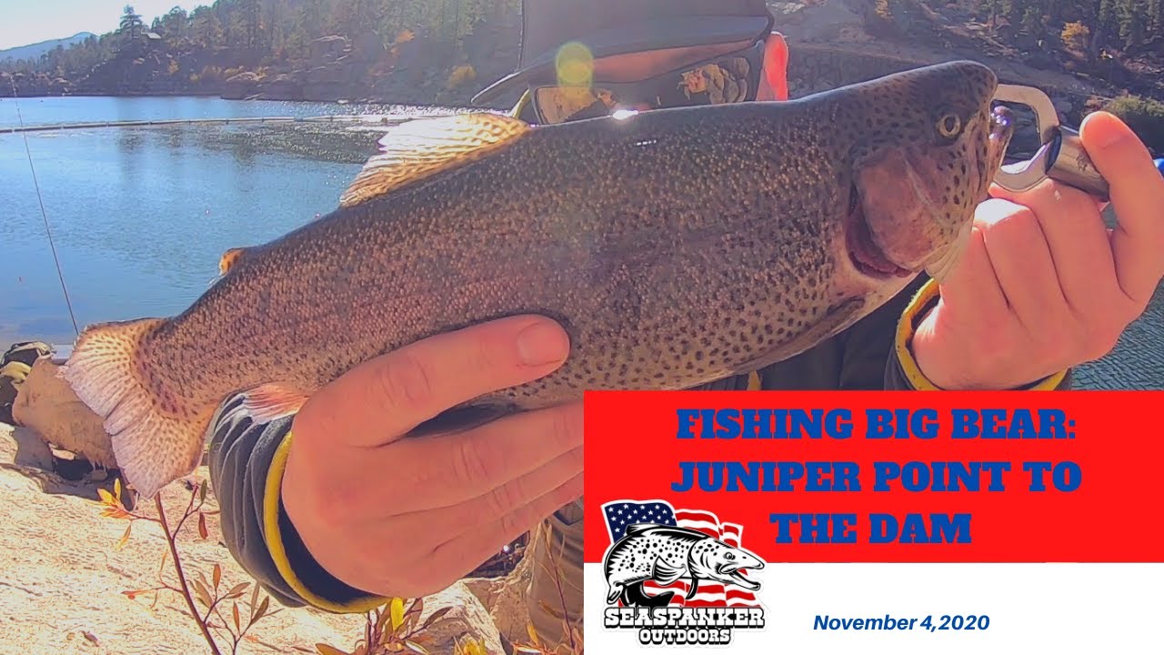 Fishing Big Bear: Juniper Point to the Dam