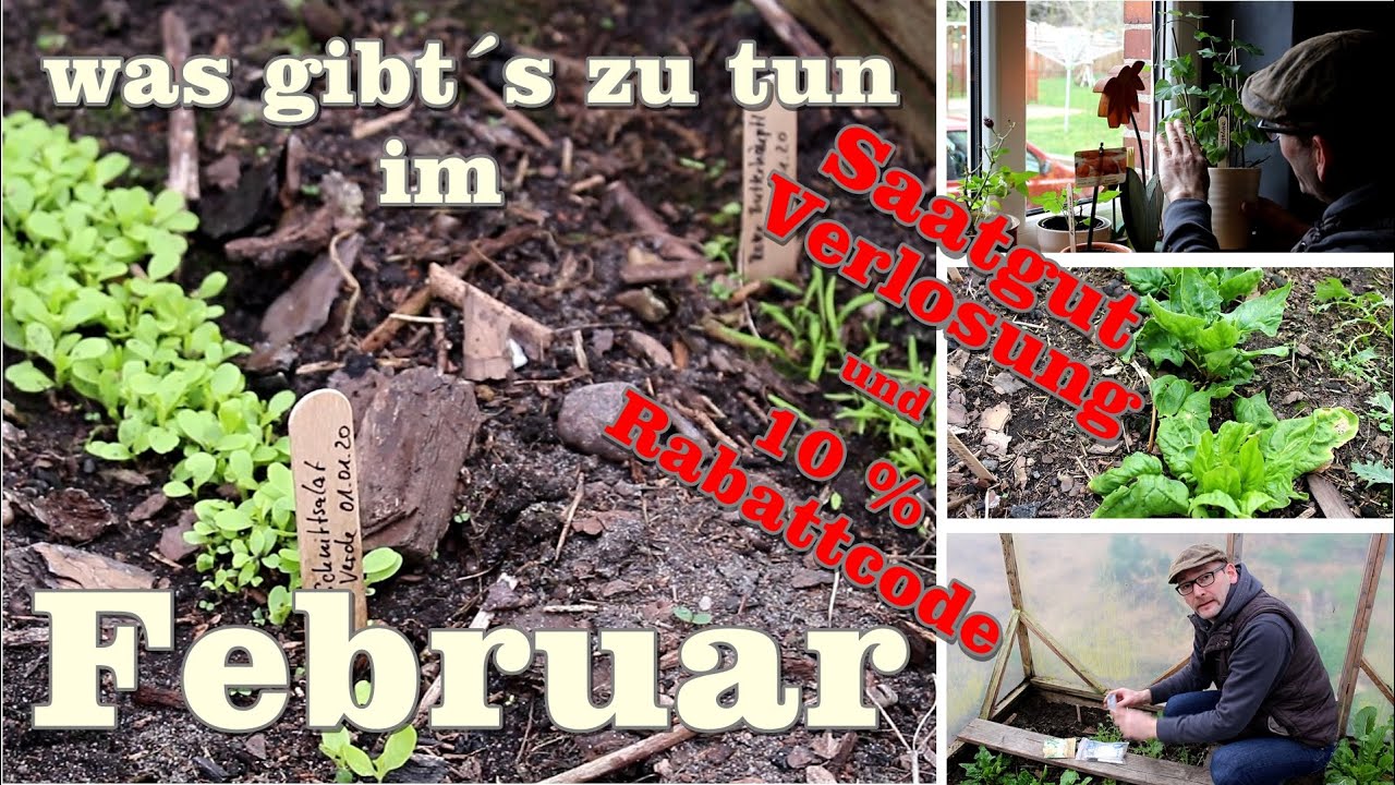 Was gib es zu tun im Februar? Saatgut Verlosung, Rabatt Code und Jungpflanzen Anzucht