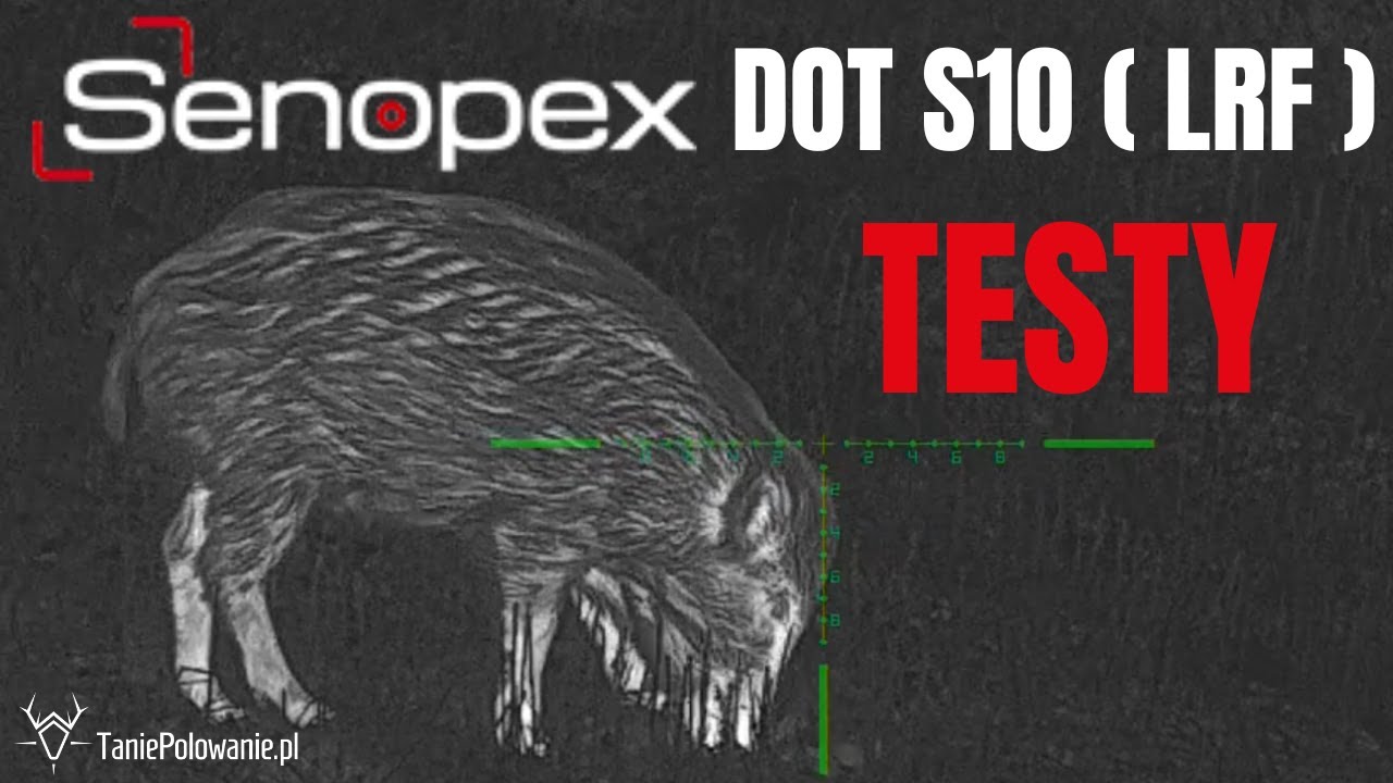 Łowy z najlepszym sprzętem 🐗🦌 | Senopex DOT S10 🎯 #senopex #termowizja #polowanie
