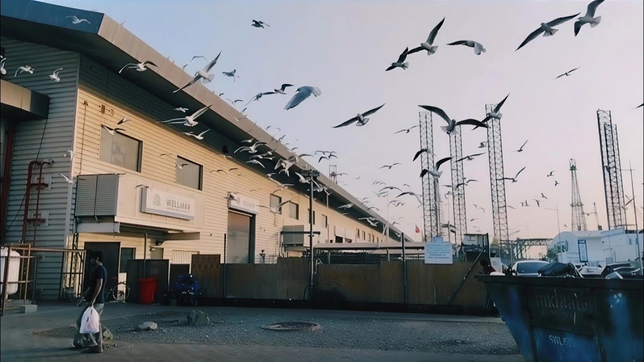  Bur Dubai🇦🇪 Mai || Kitni acchi Si Chidiya O bhai 😮 🐦|| pure Raihan vlogs 