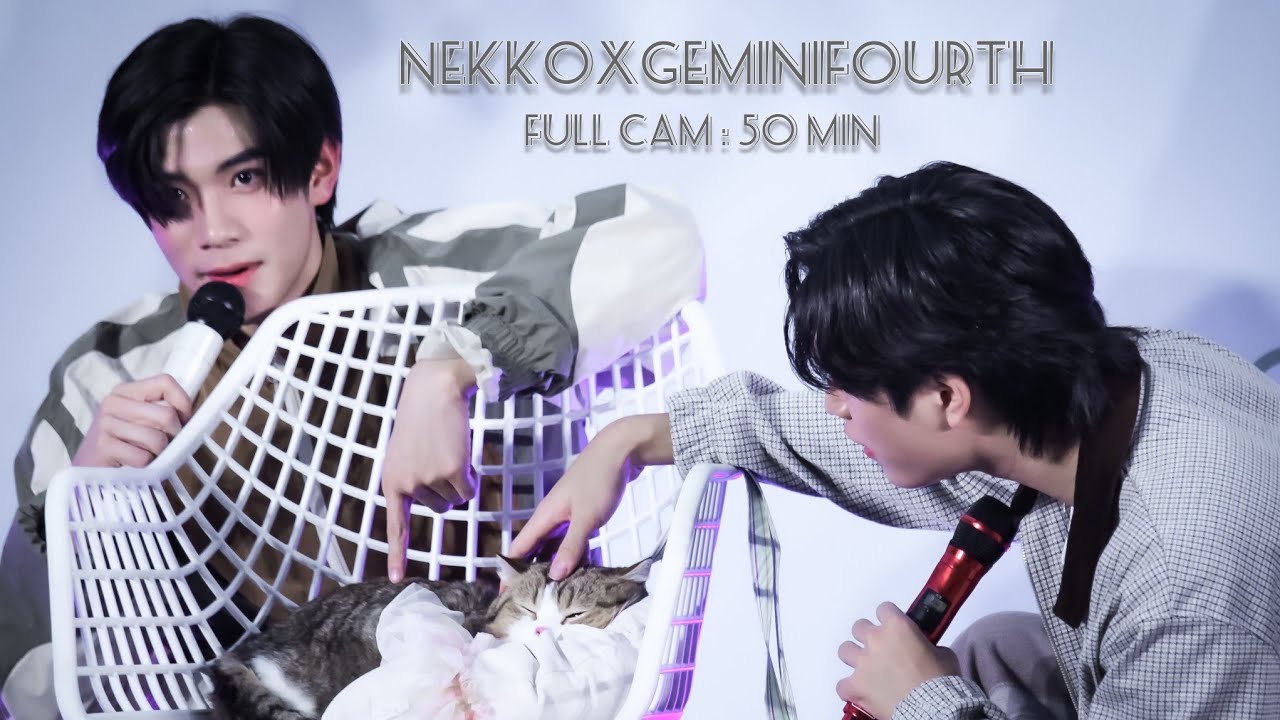 ꔛ #NekkoxGeminiFourth  full cam